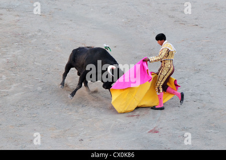 Angry black bull cape de charge de Matador corrida Corrida dans l'arène romaine Arles France Banque D'Images