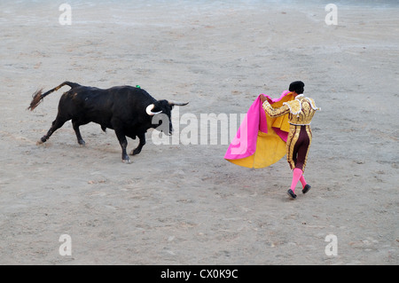 Angry black bull cape de charge de Matador corrida Corrida dans l'arène romaine Arles France Banque D'Images