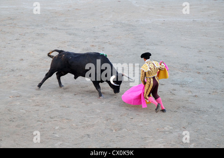 Angry black bull cape de charge de Matador corrida Corrida dans l'arène romaine Arles France Banque D'Images