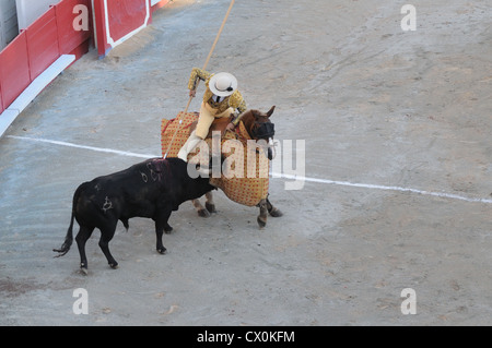 Picador monté sur l'protégés par des lances Pelo bull en arène romaine amphithéâtre ou à Arles France en corrida Corrida Banque D'Images