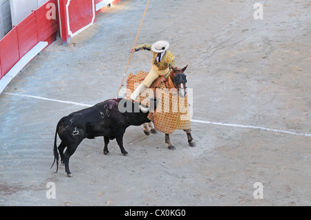 Picador monté sur l'protégés par des lances Pelo bull en arène romaine amphithéâtre ou à Arles France en corrida Corrida Banque D'Images