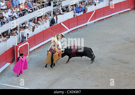 Picador monté sur l'protégés par des lances Pelo bull en arène romaine amphithéâtre ou à Arles France en corrida Corrida Banque D'Images