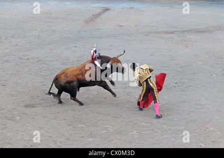 Matador blessé touche le nez de bull avec sa tête au dernier stade de corrida Corrida dans l'arène romaine Arles France Banque D'Images