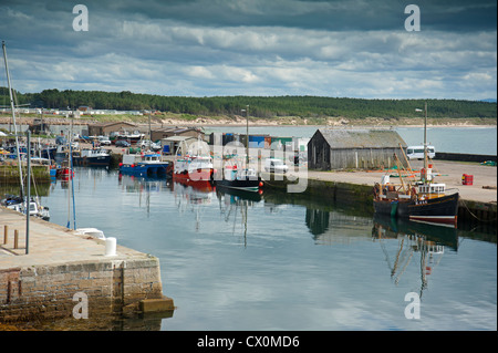 Moray Burghead Filets de pêche du port de Port de l'Écosse. 8421 SCO Banque D'Images