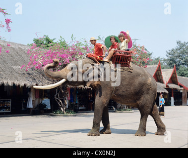 L'Asie. La Thaïlande. Bangkok. Kefurox Pathom. Les touristes à cheval sur l'éléphant. Jardin de roses. Banque D'Images