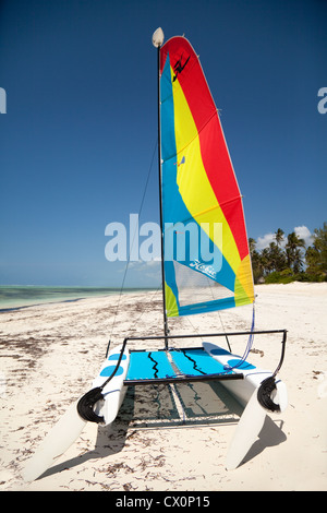 Un catamaran Hobie Cat sur une plage tropicale, Bwejuu, Zanzibar afrique Banque D'Images