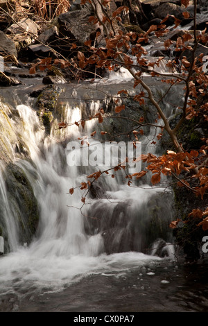 Tom Gill Cascade, Coniston, Lake District, Cumbria Banque D'Images