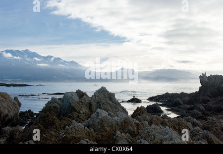 Un regard sur la vie en Nouvelle-Zélande : la côte sauvage de Kaikoura, Nouvelle-Zélande Banque D'Images