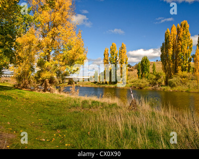 Snowy River, Dalgety, montagnes enneigées, New South Wales, Australie. De l'automne. Banque D'Images