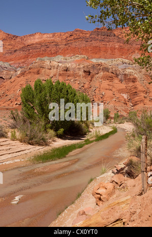 Le Paria Canyon rivière qui traverse le Lonely Dell Ranch à la lie du quartier historique de ferry dans le nord de l'Arizona, USA Banque D'Images