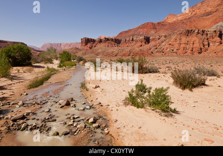 Le Paria Canyon rivière qui traverse le Lonely Dell Ranch à la lie du quartier historique de ferry dans le nord de l'Arizona, USA Banque D'Images