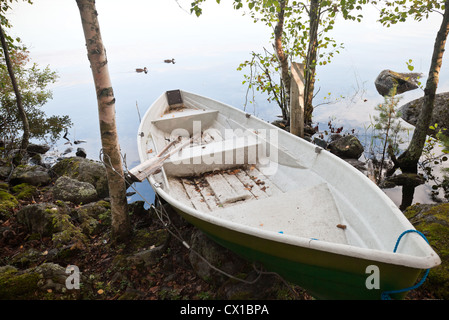 Aviron blanc vieux bateau amarré sur la côte dans la forêt Banque D'Images