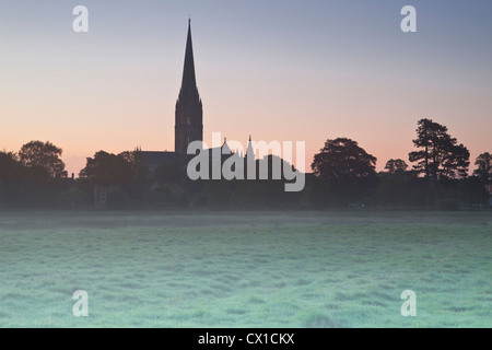 L'ensemble de l'ouest à l'eau 68 London meadows vers la cathédrale de Salisbury, à l'aube. Banque D'Images