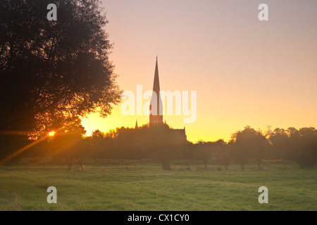 L'ensemble de l'ouest à l'eau 68 London meadows vers la cathédrale de Salisbury, à l'aube. Banque D'Images