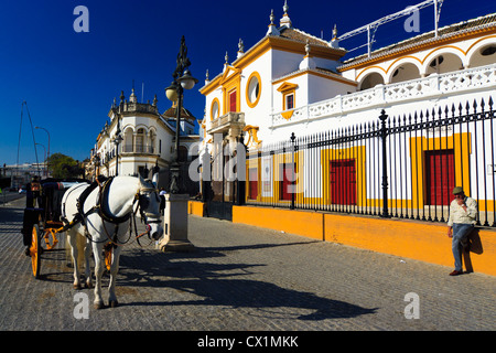 Séville, la Maestranza avec buggy touristiques et pilote. Andalousie, Espagne Banque D'Images