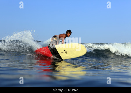 Surf surfeur local point l'onde de rupture sur un longboard à Batu Karas dans l'Ouest de Java. Banque D'Images