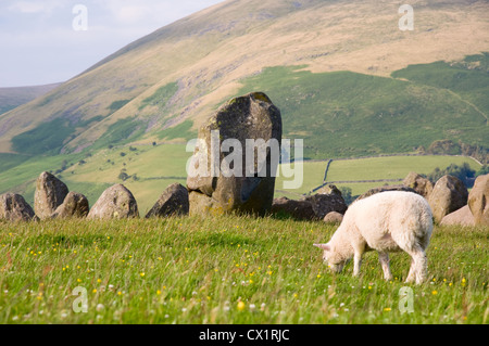 Le pâturage des navires au cercle de pierres de Castlerigg près de Keswick, Lake District National Park Banque D'Images