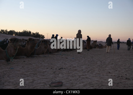 Matin dans désert du Sahara Banque D'Images