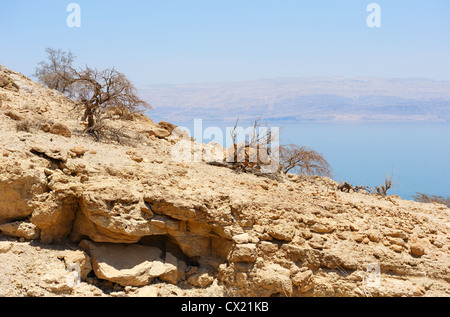 Vue sur la mer Morte depuis les pentes de la montagnes de Judée dans le domaine de la réserve d'Ein Gedi Banque D'Images