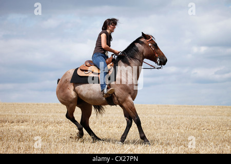 L'équitation western cavalière Banque D'Images