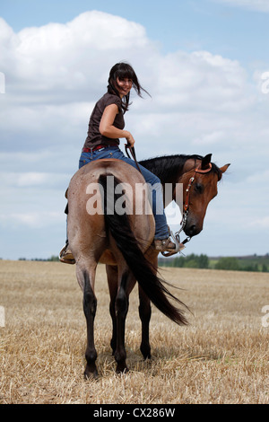 L'équitation western cavalière Banque D'Images
