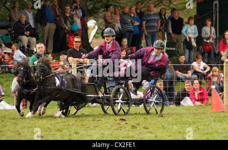 Les membres de l'Association conduite courir en compétition à Chatsworth Country Fair 2012, Chatsworth House, Derbyshire, Royaume-Uni Banque D'Images