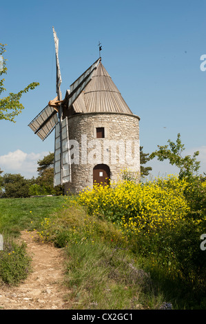 Ancien moulin à vent et des fleurs dans le Luberon Provence, France Banque D'Images