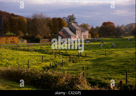 Une ferme laitière avec des vaches dans les pâturages, en Normandie (France) au coucher du soleil. Banque D'Images