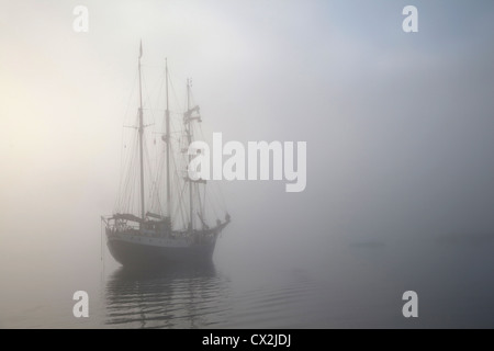 Le grand voilier trois-mâts barque-goélette / Antigua Navigation dans la brume avec les touristes vers Svalbard, Spitzberg, Norvège Banque D'Images