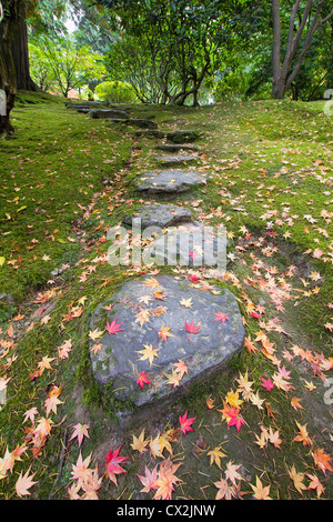 Les feuilles des arbres d'érable japonais tombés sur les marches de pierre et de mousse en automne Banque D'Images