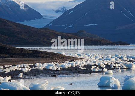 Des morceaux de glace du glacier s'est échoué sur la plage au Svalbard, Spitzberg, Norvège Banque D'Images