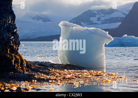 Gros bloc de glace cassée sur le rivage du glacier sur la plage au Svalbard, Spitzberg, Norvège Banque D'Images