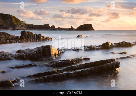 Le soleil de fin de soirée scintille sur les rochers humides à Hartland Quay, North Devon, Angleterre. L'automne (septembre) 2010. Banque D'Images