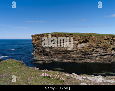 Dh Brough de Bigging YESNABY Seacliffs seapinks Orcades ciel bleu et mer calme Banque D'Images