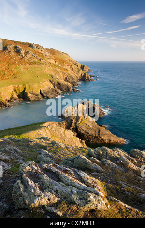 Soar Mill Cove de Cathole Falaise, South Hams, Devon, Angleterre. L'automne (septembre) 2010 Banque D'Images