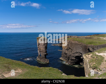 dh Yesnaby Castle YESNABY ORKNEY Sea stack rocailleux seacliff tops côtes écossaises falaises côte britannique rochers falaise côte écosse ligne Banque D'Images