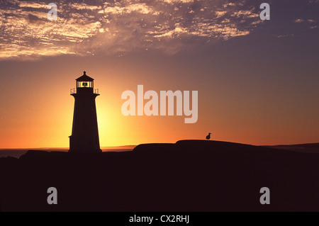 Peggy's Point Lighthouse et une mouette en silhouette au coucher du soleil,Nova Scotia Banque D'Images