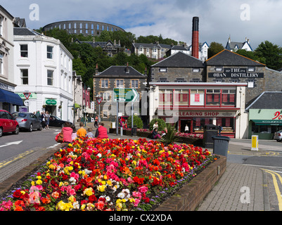 dh OBAN ARGYLL distillerie Oban McCaigs Tower ville de whisky folle whisky écossais Banque D'Images