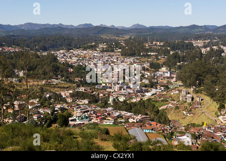 Le wapiti, le Tamil Nadu Inde201-5470, Udhagamandalam (Ooty), ville d'en haut Banque D'Images