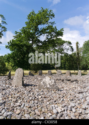 dh Temple Bois pierres cercles KILMARTIN GLEN ARGYLL ECOSSE Néolithique pierres debout cist été bois enterrement cercle Banque D'Images