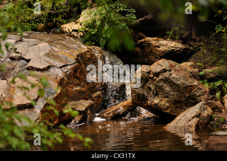 Forme piscines dans le cours d'eau le long du sentier du ravin du Marshall, le Mont Lemmon, montagnes Santa Catalina, désert de Sonora, en Arizona, USA. Banque D'Images