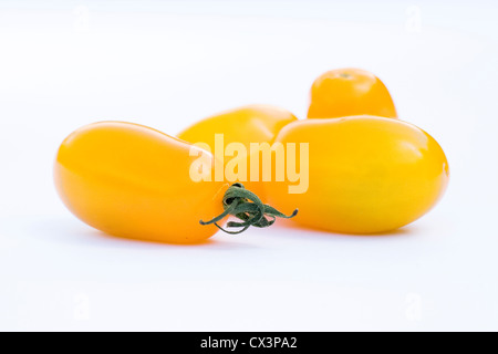 Lycopersicon esculentum. Quatre tomates jaunes sur un fond blanc. Banque D'Images