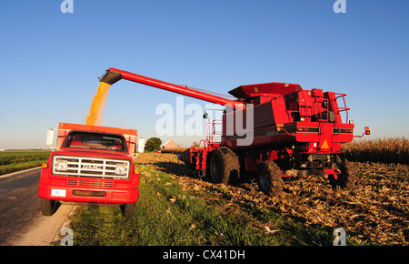 Une CASE IH International Harvester) combiner le maïs et déleste les récoltes du grain dans un GMC camion à grain Banque D'Images