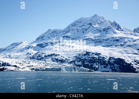 Lamplugh Glaciers et du tonnelier. Le parc national Glacier Bay en Alaska. Banque D'Images