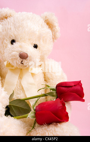 Valentine concept - un bel ours avec deux roses rouges Banque D'Images