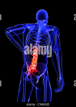 Rendu 3d illustration médicale - dos - style x-ray Banque D'Images