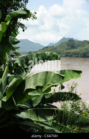 Vue sur le fleuve du Mékong avec fond de montagnes et de forêts. Luang Prabang, Laos. Banque D'Images