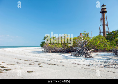 BEACH SANIBEL ISLAND STATE PARK LUMIÈRE FORT MYERS SANIBEL ISLAND GULF COAST FLORIDA USA Banque D'Images