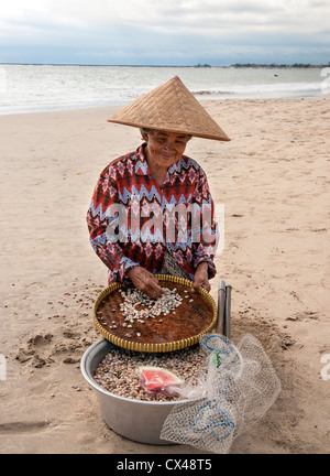 Femme la collecte des coquillages pour faire des colliers. Sur la plage de Jimbaran, péninsule de Bukit, au sud de Bali, Indonésie. Banque D'Images