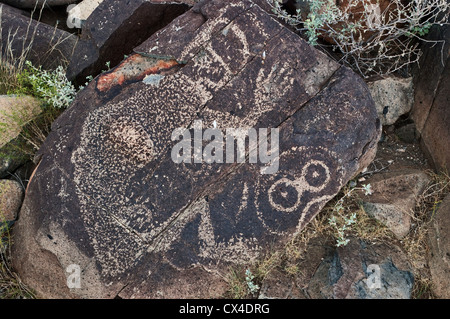 Jornada Mogollon style rock art aux Trois Rivières Site de pétroglyphes, Désert de Chihuahuan près de la Sierra Blanca, New Mexico, USA Banque D'Images
